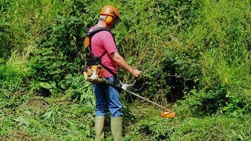 La electricidad gana terreno en el control de malezas en agricultura.jpg